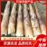 【精品】高山优质苦笋产地直销现挖现发诚信经营