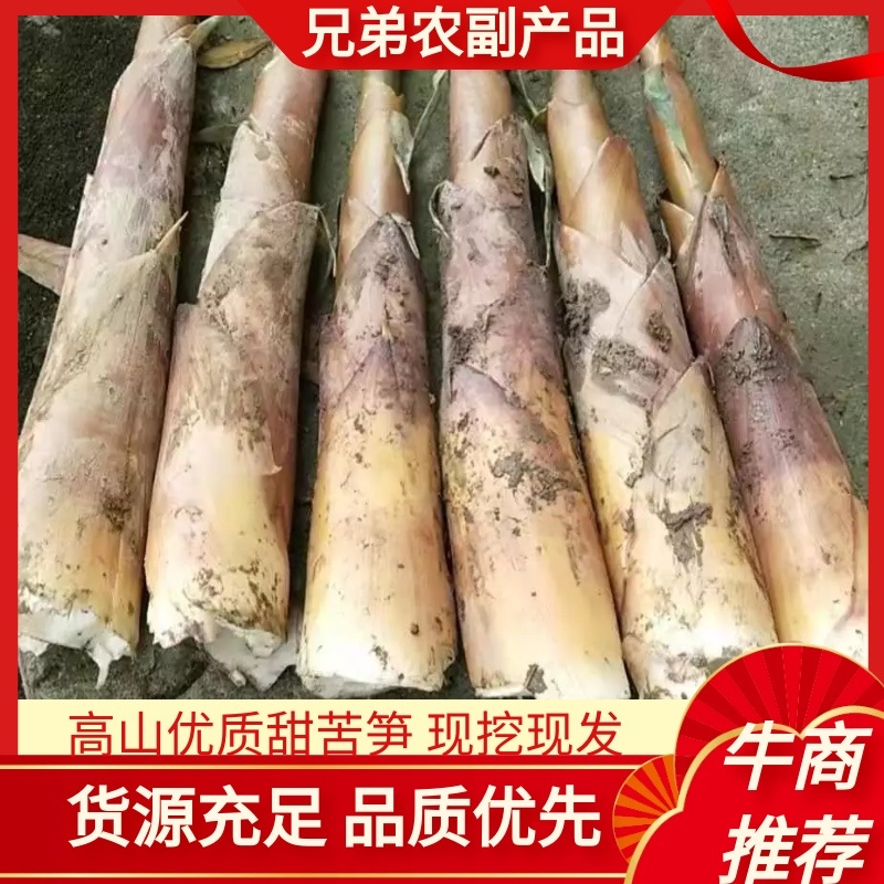 【精品】高山优质苦笋产地直销现挖现发诚信经营