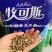 进口墨西哥玉米草抗病高产牧草国产墨西哥玉米草养殖草籽