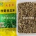 进口墨西哥玉米草抗病高产牧草国产墨西哥玉米草养殖草籽