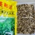 进口墨西哥玉米草抗病高产牧草国产墨西哥玉米草养殖草籽