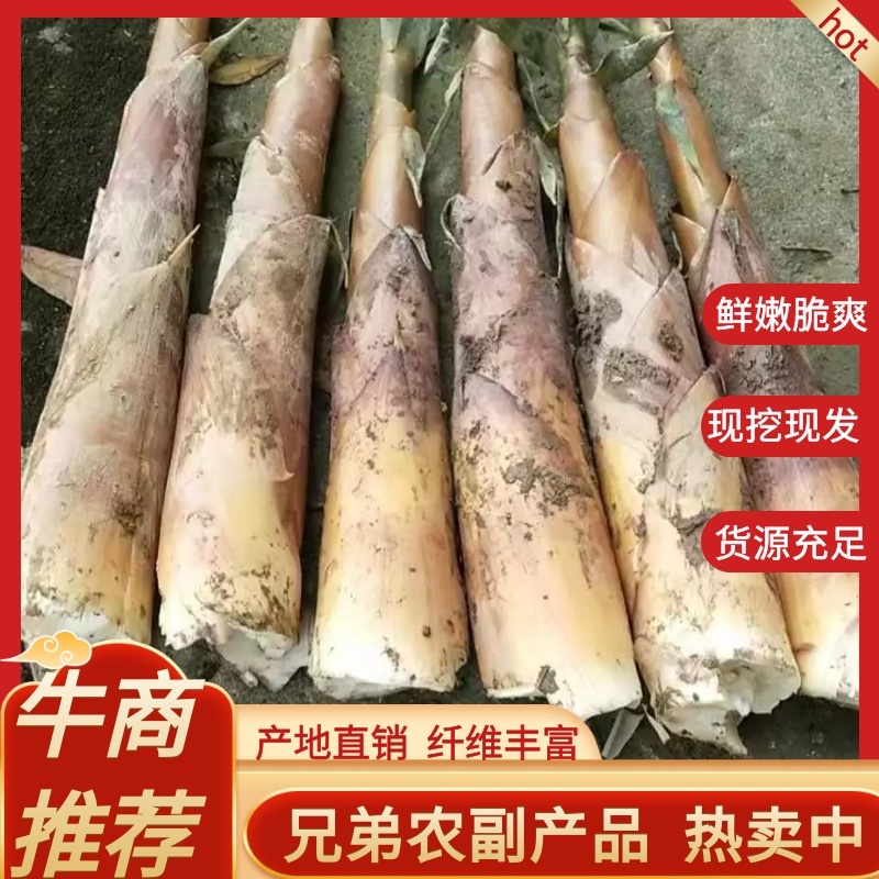 【精品】竹笋苦笋优质高山苦笋货源充足全国发货，品质