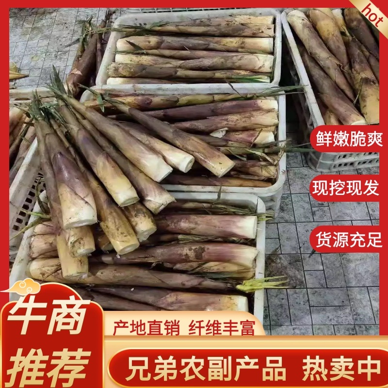 【精品】竹笋苦笋优质高山苦笋货源充足全国发货，品质