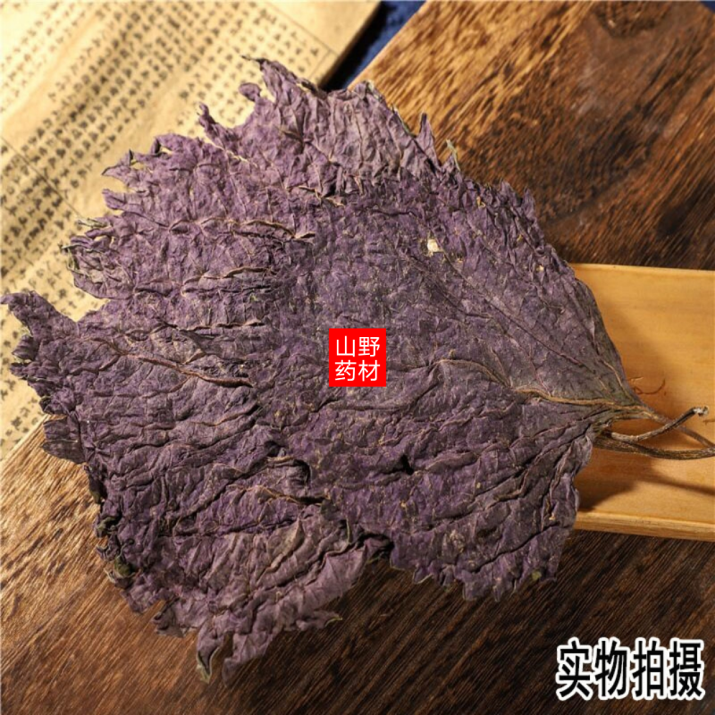 云南中药材紫苏叶紫苏叶500g包邮
