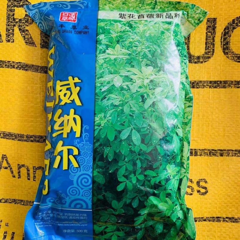 威纳尔原包装进紫花苜蓿种子多年生优质牧草种子适口性好