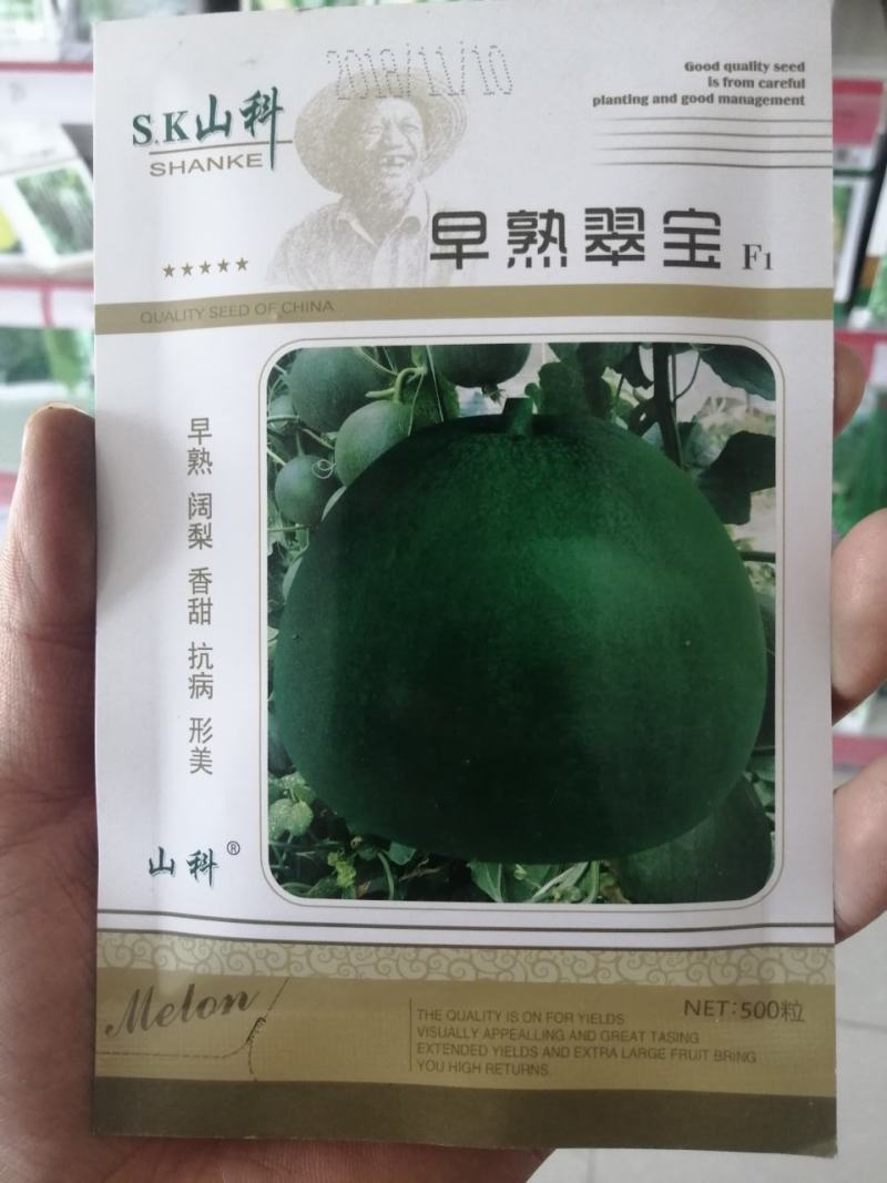 优质甜瓜种子博洋翠宝羊角蜜高产抗病口感好
