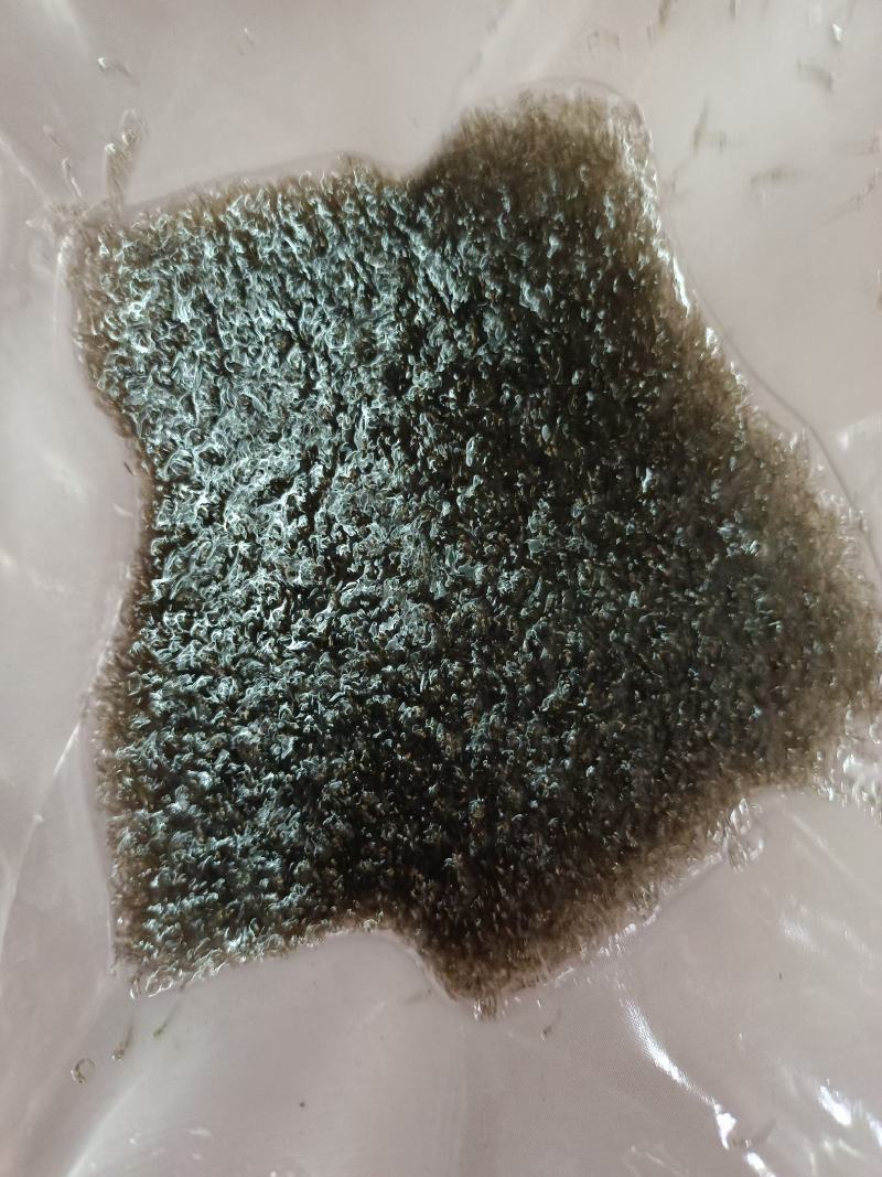 优质草鱼水花，各种淡水鱼水花，苗场直供提供技术指导。。