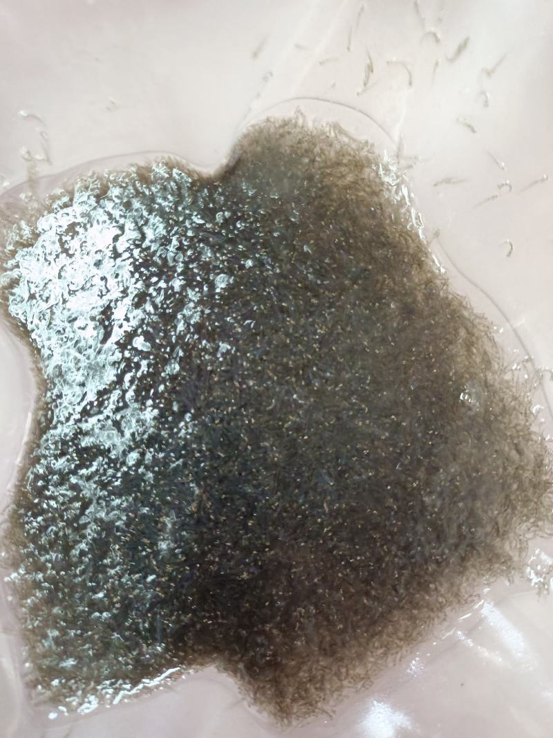 优质草鱼水花，各种淡水鱼水花，苗场直供提供技术指导。。