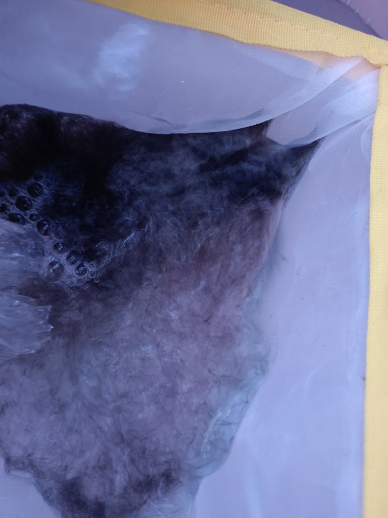 优质草鱼水花，各种淡水鱼水花，苗场直供提供技术指导。。