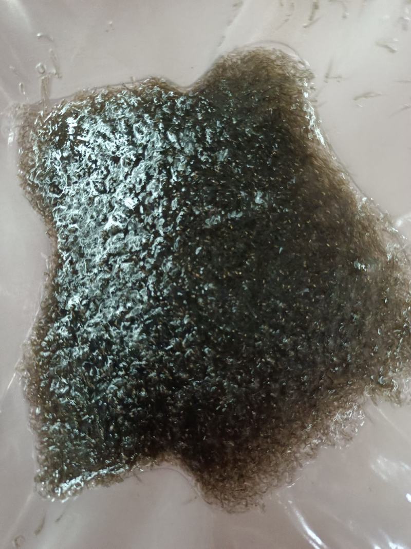 优质草鱼水花，各种淡水鱼水花，苗场直供提供技术指导。。
