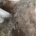 优质草鱼水花，各种淡水鱼水花，苗场直供提供技术指导。。
