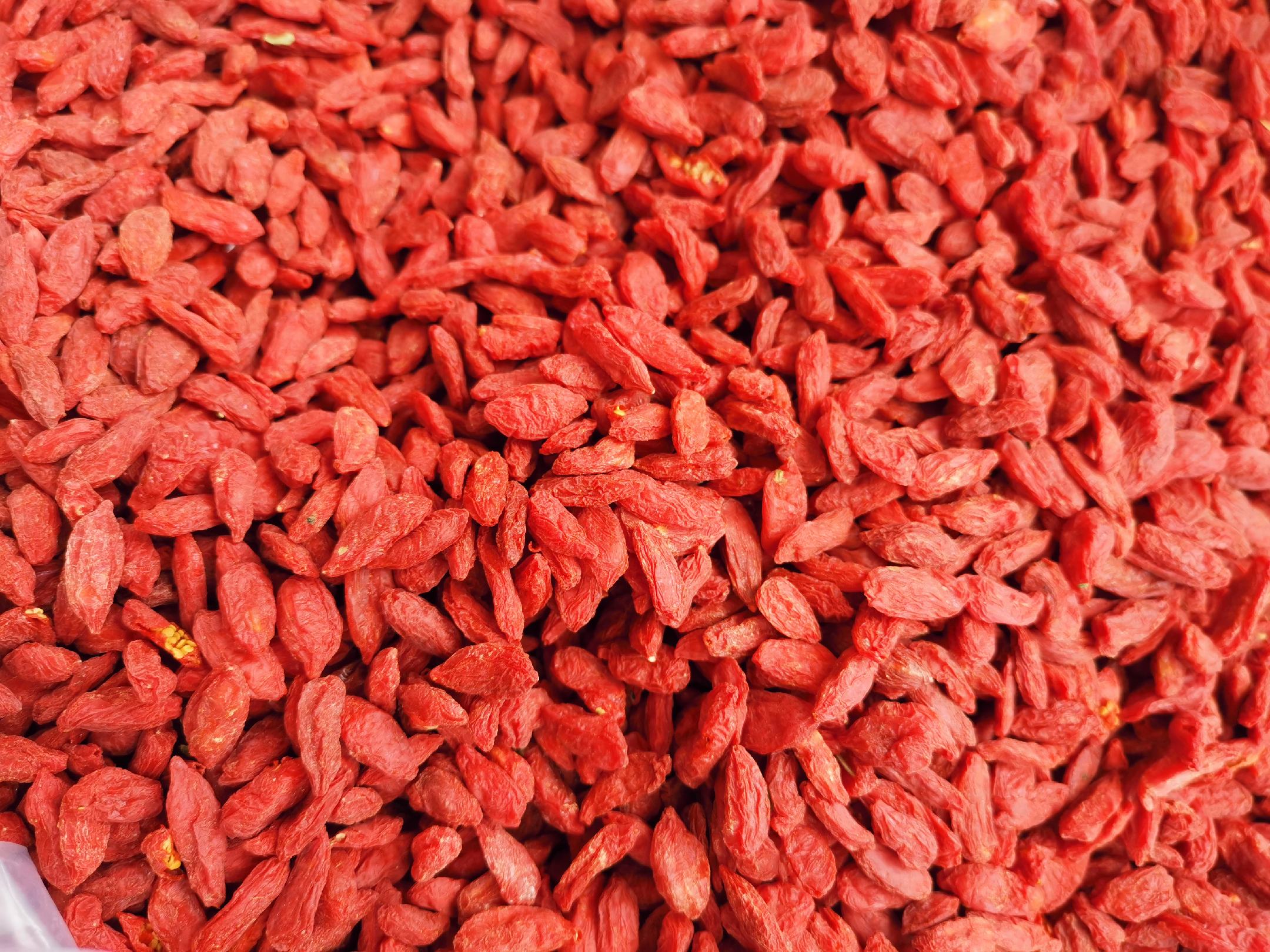 枸杞果实特写,展示其饱满的红色外观和自然生长状态 枸杞特写图