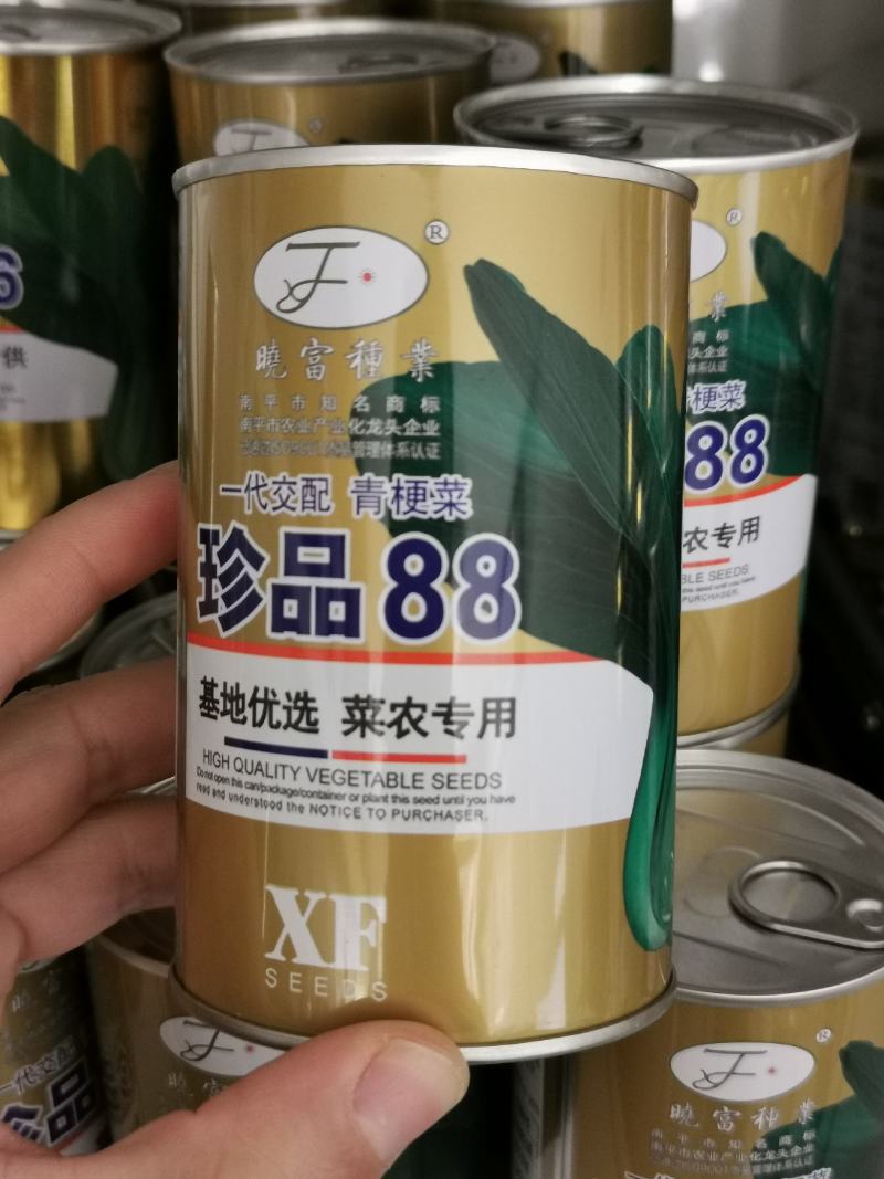 珍品66青菜种子耐热好吃束腰青梗菜种子原装发货