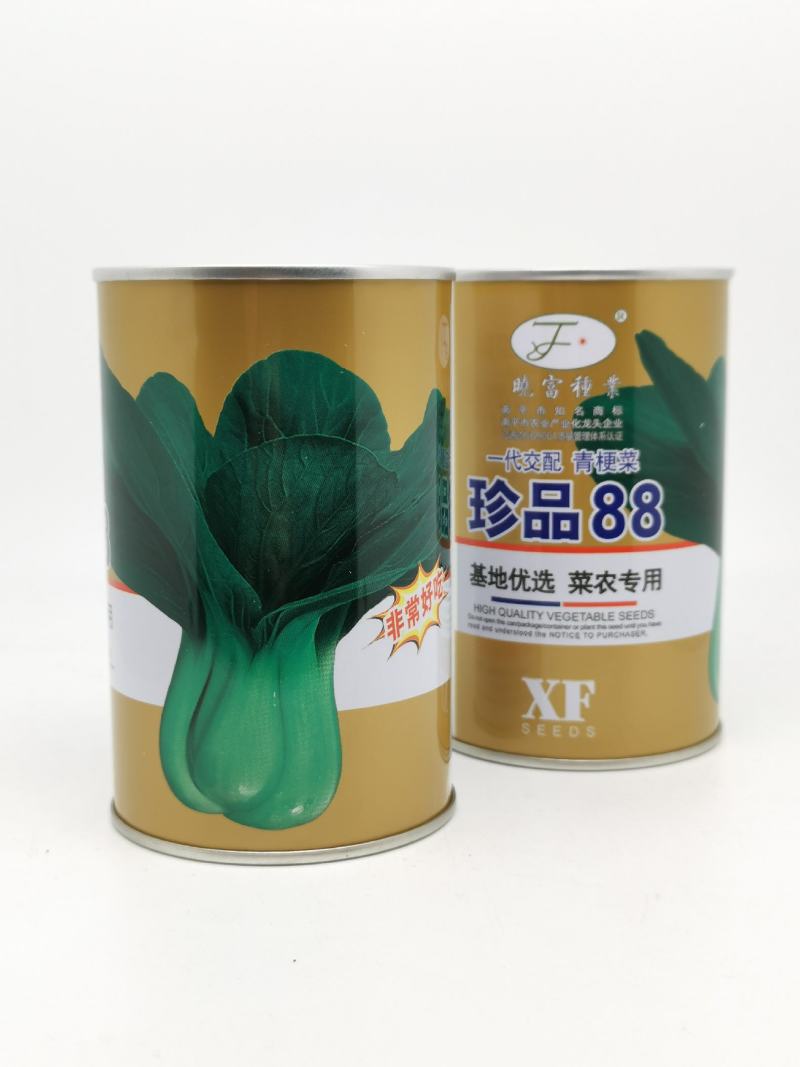 珍品66青菜种子耐热好吃束腰青梗菜种子原装发货