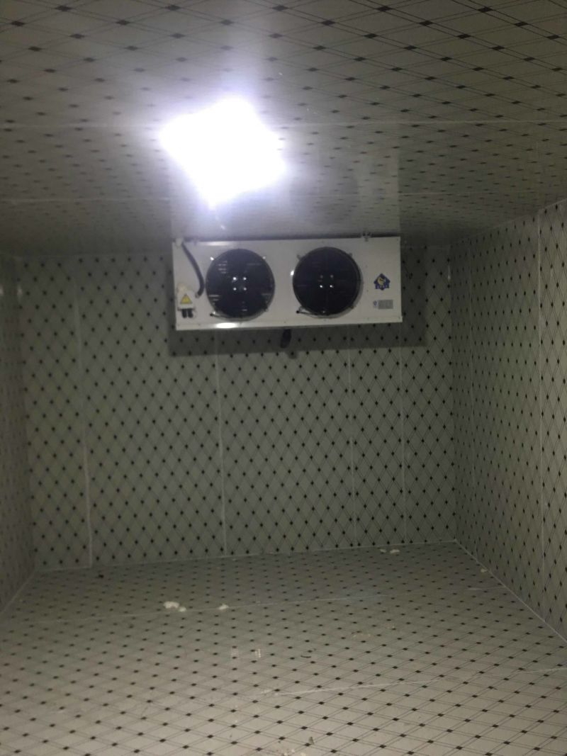 专业生产各种规格蔬菜瓜果保鲜库肉类食品冷冻库免费上门设计