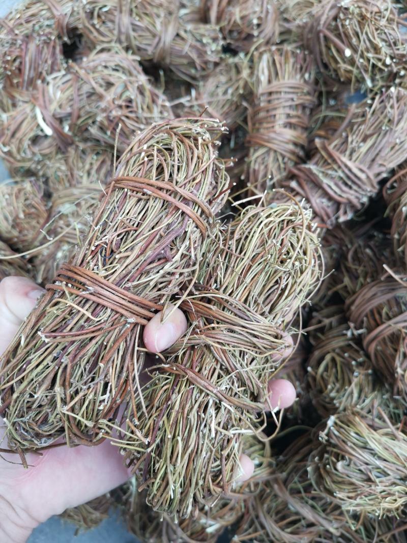 无硫无叶【好货】鸡骨草【产地直销】一件代发