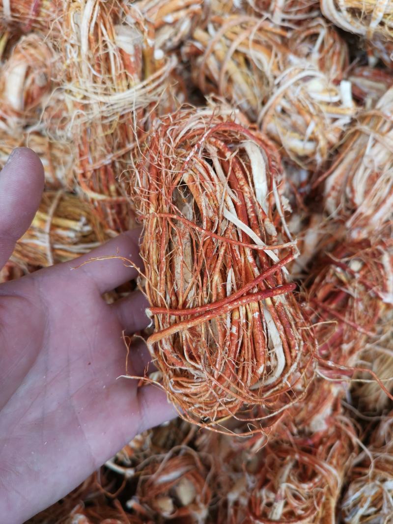 正宗【精品】五指毛桃扎把【产地直销】