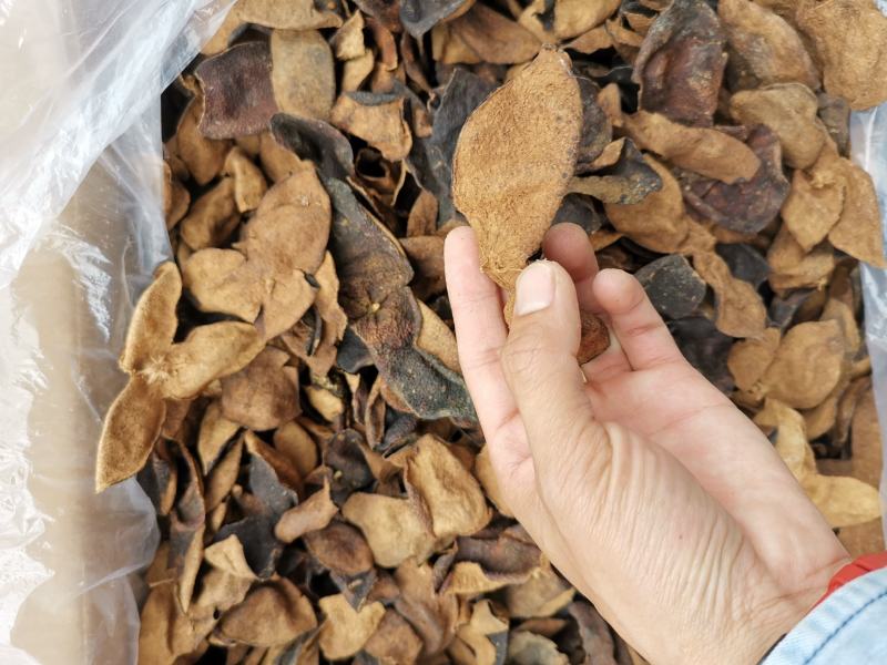 陈皮广东新会老陈皮【非常香】扎把陈皮散皮碎皮，一件代发