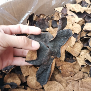 陈皮广东新会老陈皮【非常香】扎把陈皮散皮碎皮，一件代发