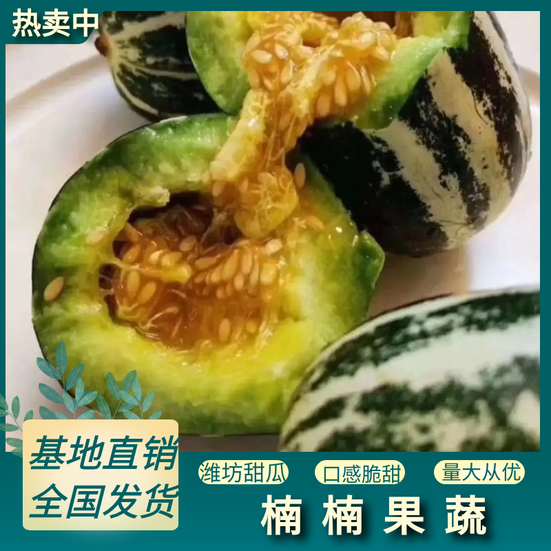 山东潍坊寒亭博洋九甜瓜种植基地，产地直供，