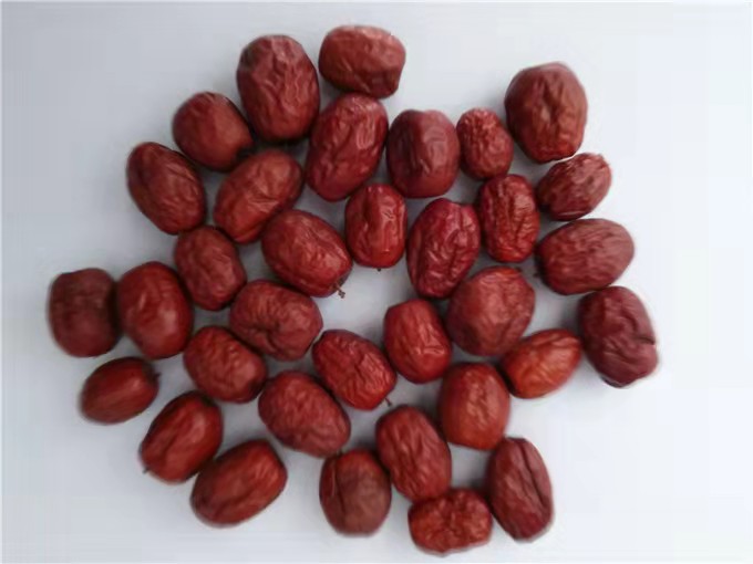 金丝小枣特写展示