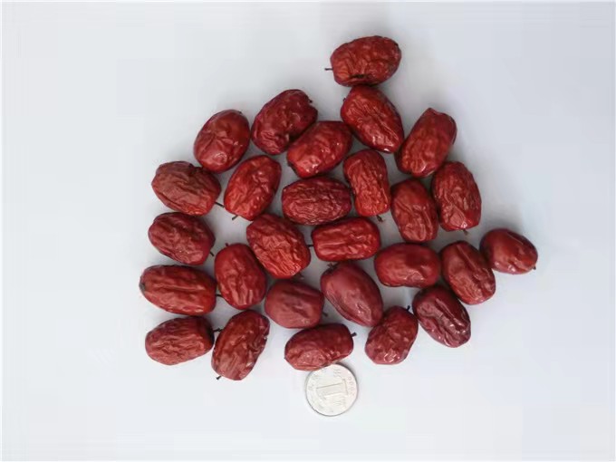 金丝小枣特写图