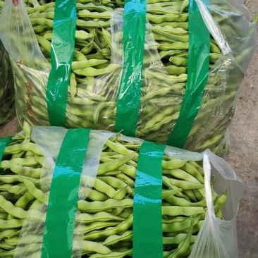 豆角