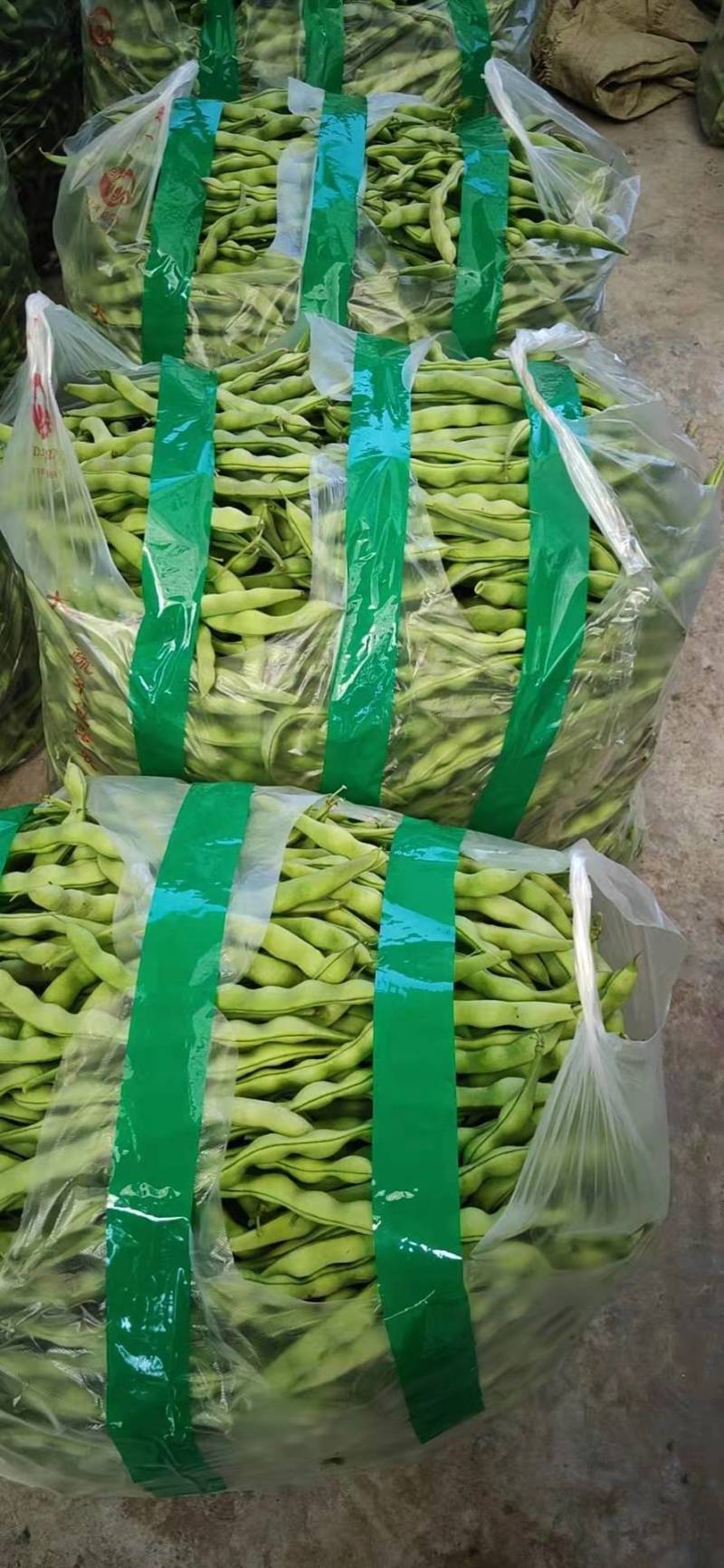 豆角