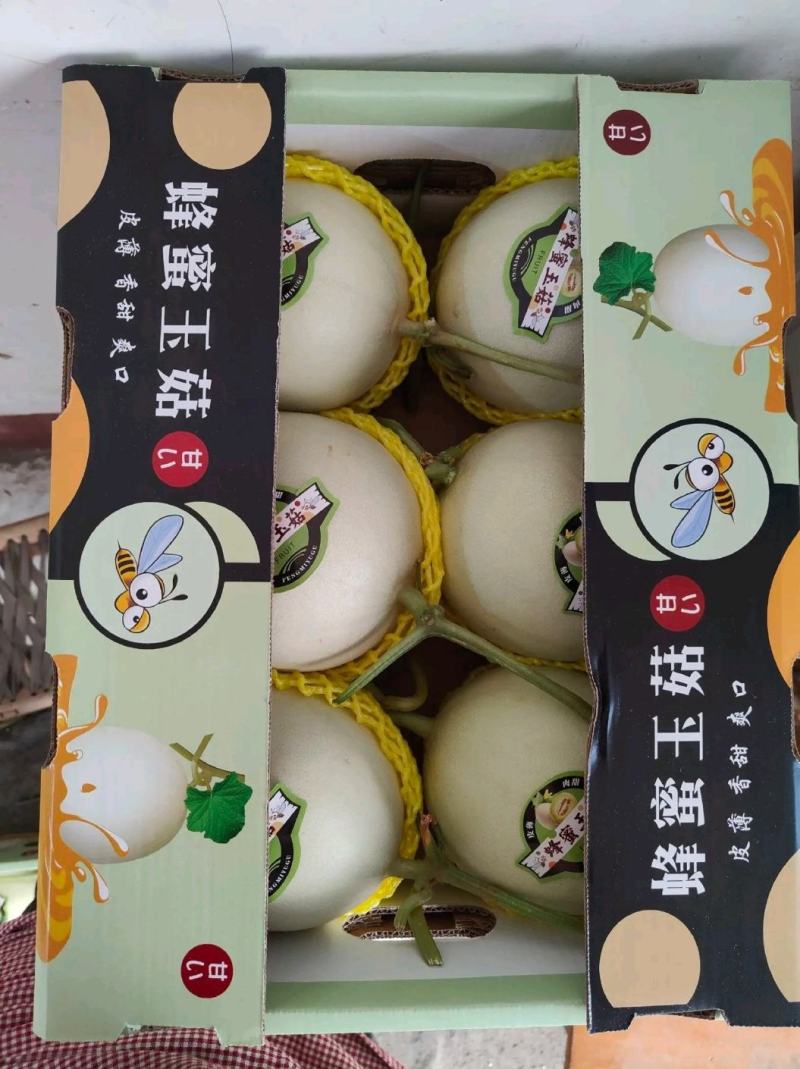 【精选】冰清玉姑甜瓜玉菇甜瓜，批发商，大量供应，诚信合作
