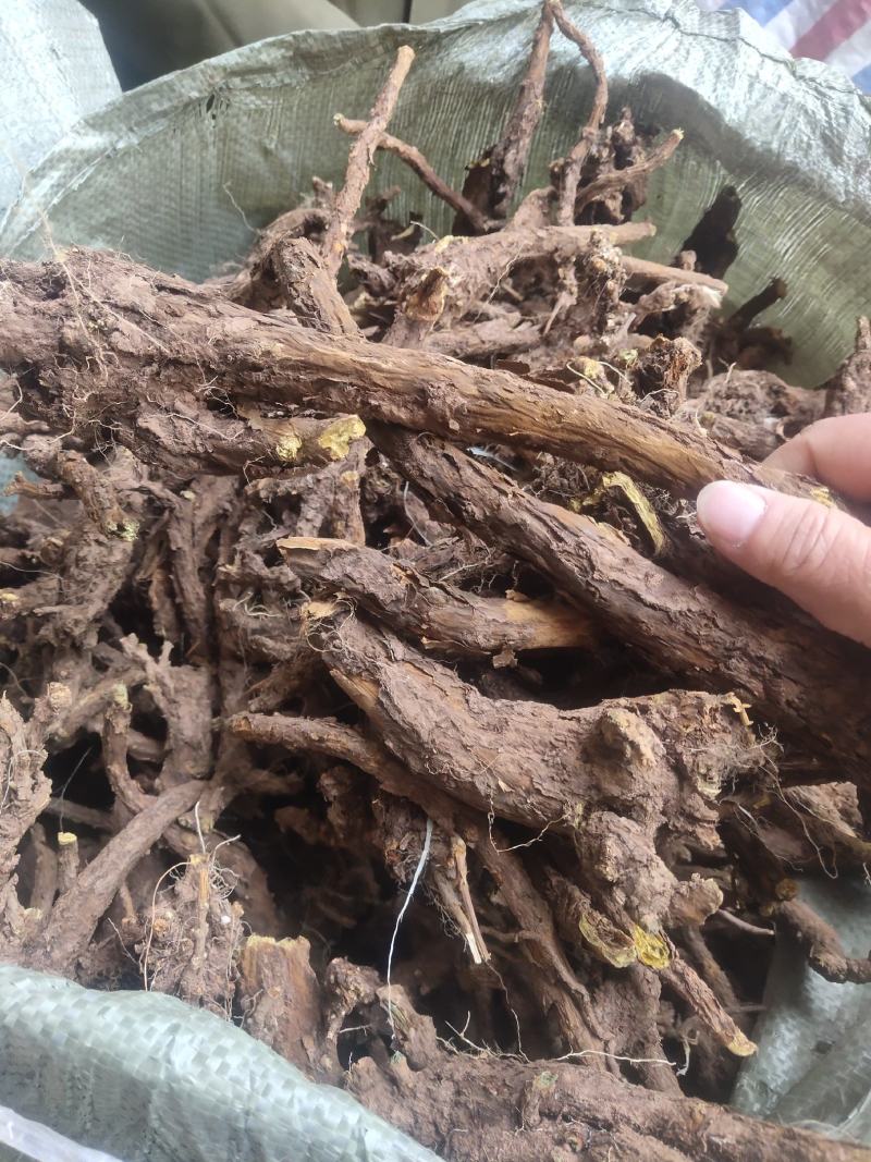 家种黄芩，选条，统货，三年生，两年半生，干度好干净芜杂，
