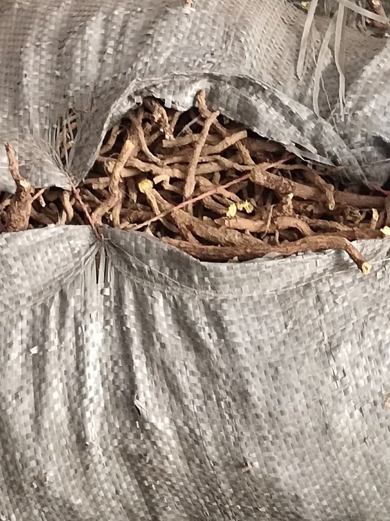 家种黄芩，选条，统货，三年生，两年半生，干度好干净芜杂，