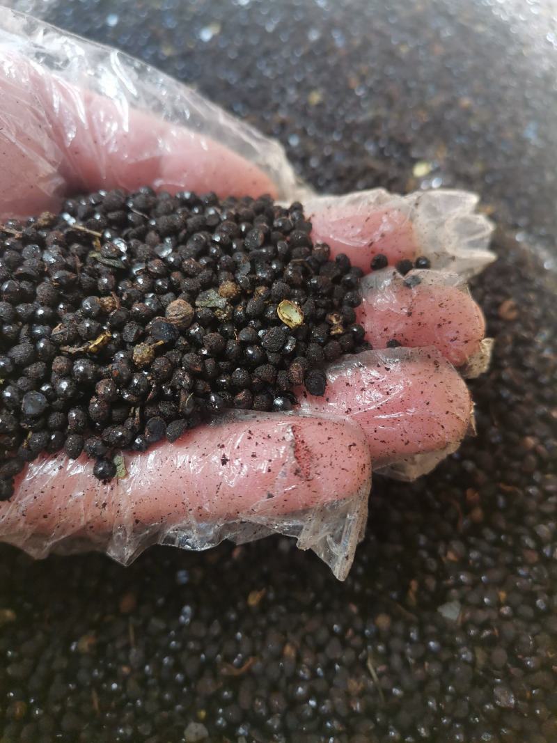 云南中药材椒目川椒目花椒目500g包邮