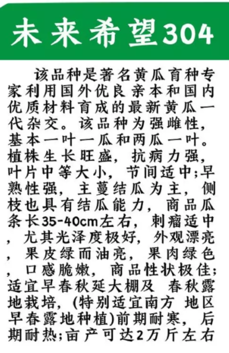 未来希望304黄瓜，抗寒耐热，35—40厘米40元/袋