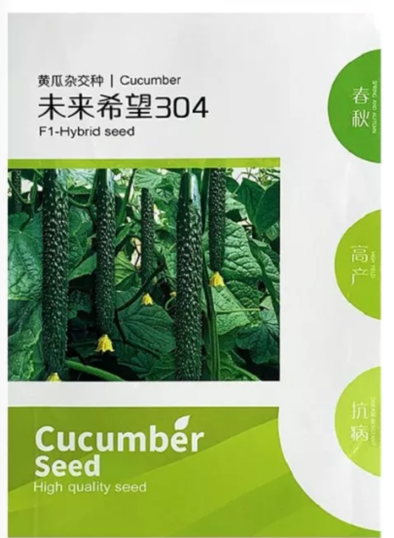 未来希望304黄瓜，抗寒耐热，35—40厘米40元/袋