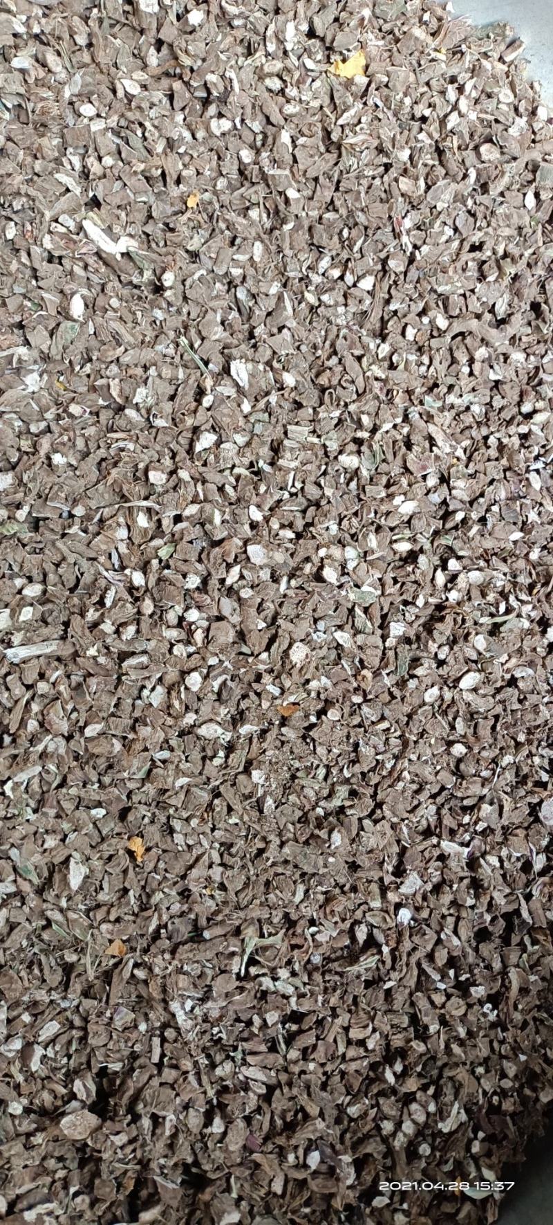 纯野生石菖蒲