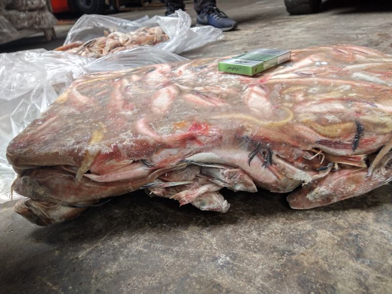台巴，青占，红娘鱼能用的老板看过来