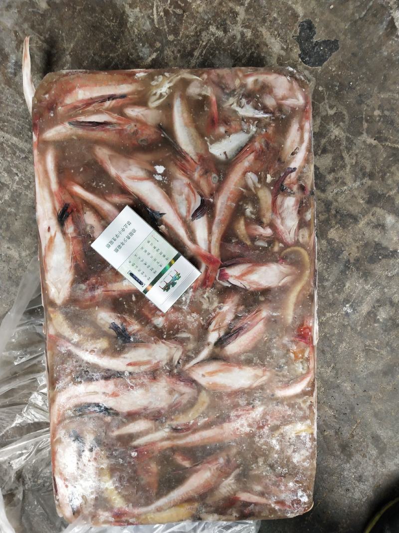 台巴，青占，红娘鱼能用的老板看过来