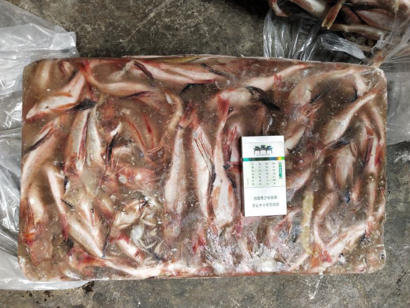 台巴，青占，红娘鱼能用的老板看过来