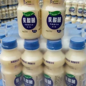 乳酸菌酸奶批发现货