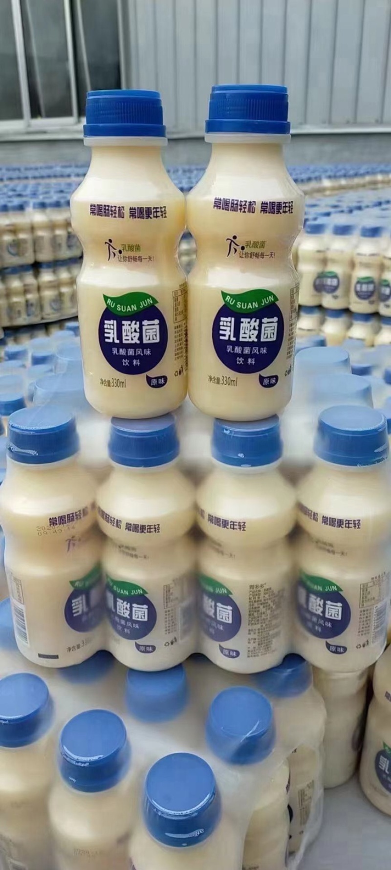 乳酸菌酸奶批发现货