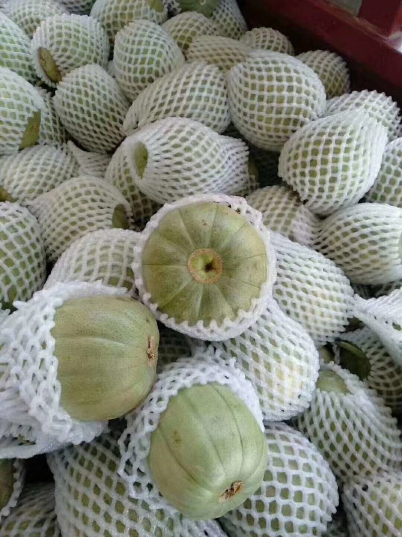 绿宝甜瓜