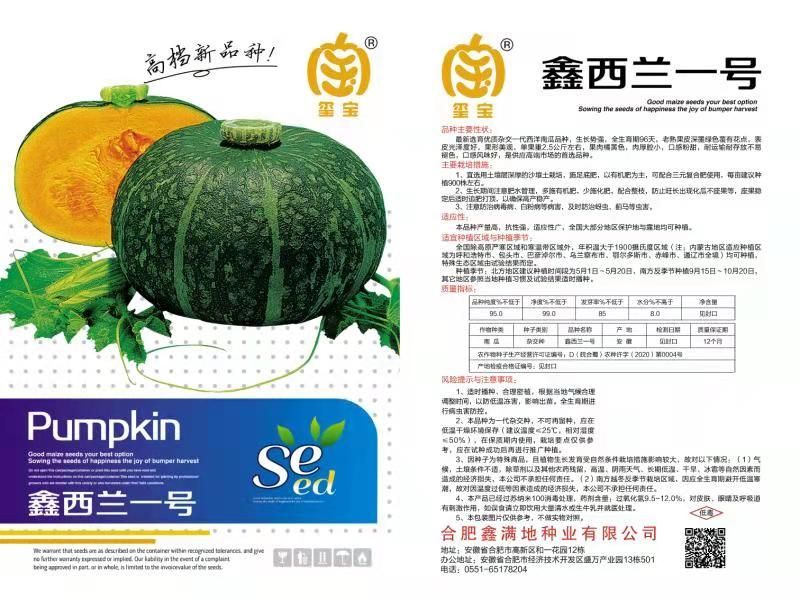 新西兰板栗南瓜种子贝贝南瓜种子日本进口国产