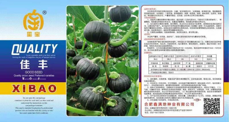 日本进口爱碧斯板栗南瓜种子贝贝南瓜种子包回收
