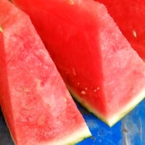 夏邑8424西瓜，无籽西瓜，麒麟美都西瓜，河南西瓜上市中