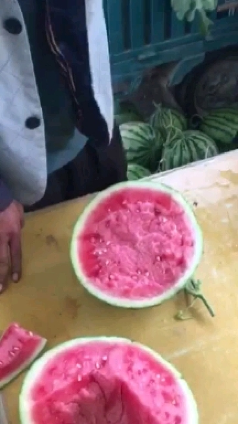 8424西瓜，自生苗，皮薄甜度高，熟度好，大棚种植