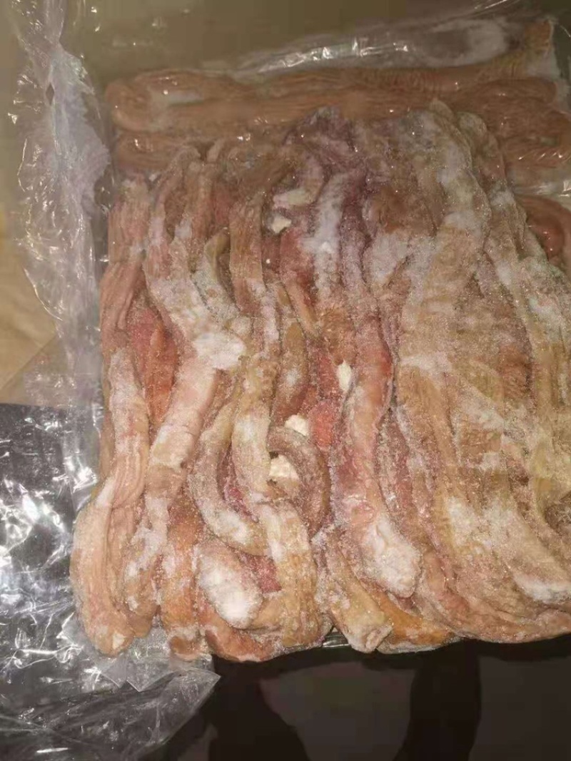 国产肥猪预煮小肠