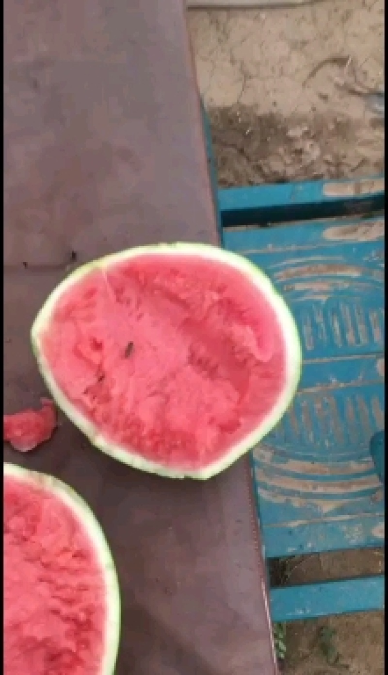 美都西瓜，大棚种植，自生苗，甜度非常高，熟度好，诚信合作