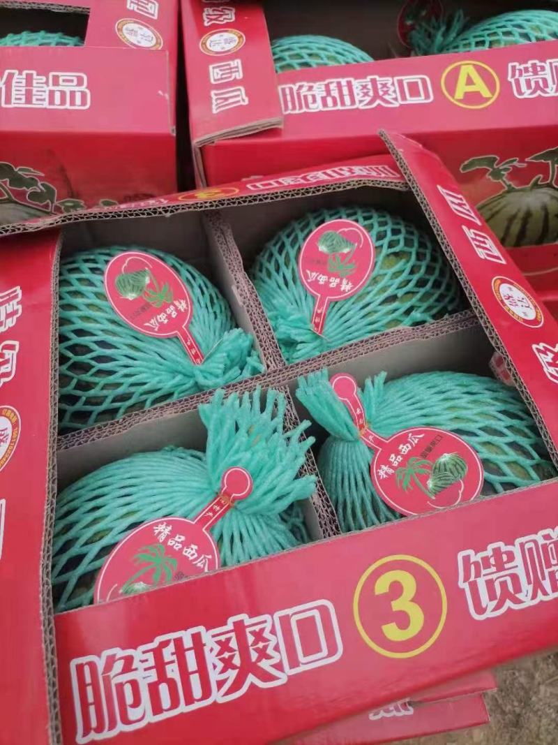 优选精品大棚京欣、嘉年华西瓜、质量三包、