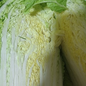 白菜