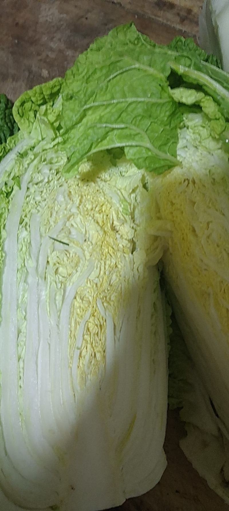 白菜